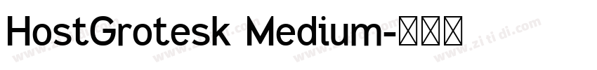 HostGrotesk Medium字体转换